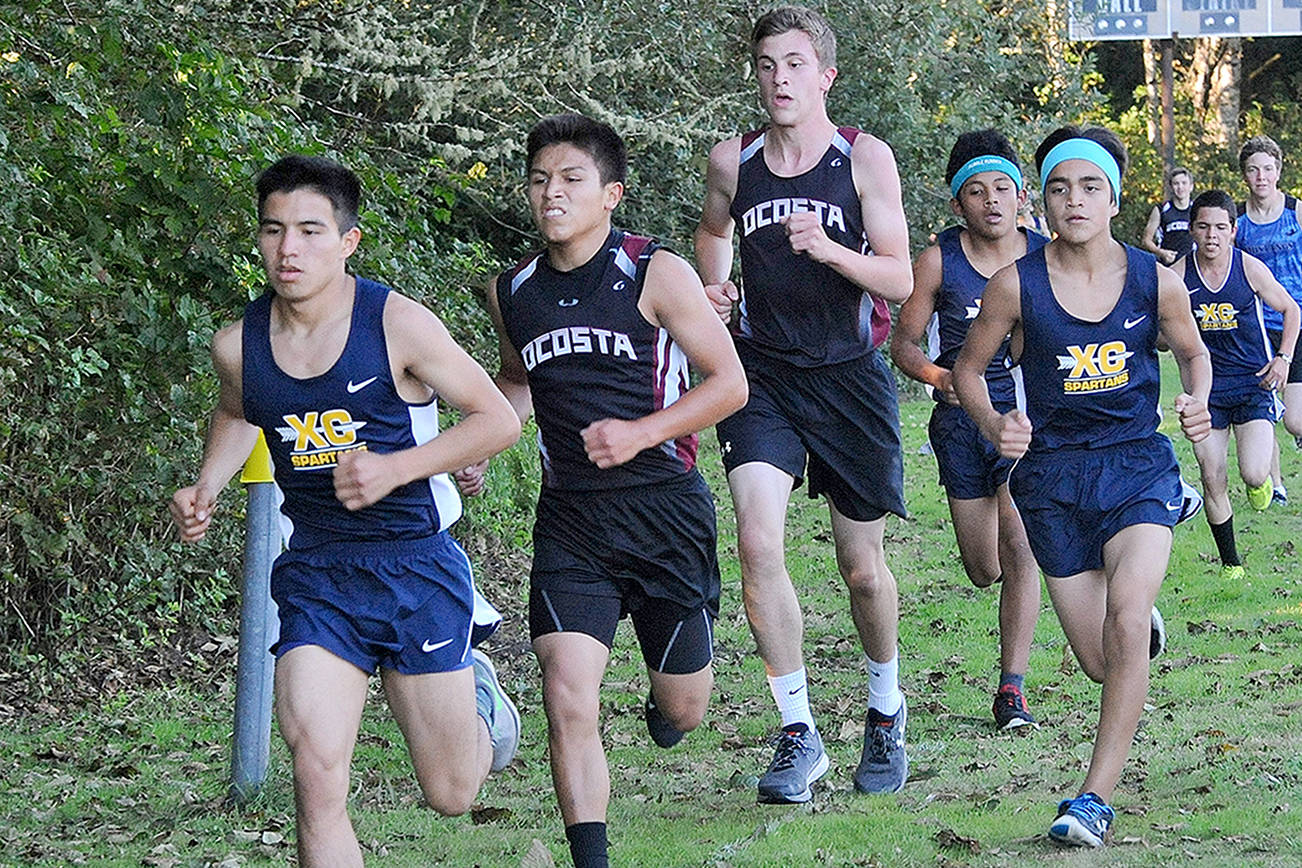 PREP ROUNDUP: Forks runners win in Ocean Shores