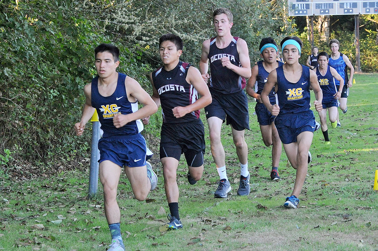 Forks’s Samuel Gomez leads the pack at the Harriers at the Beach cross country race in Ocean Shores. Gomez went on to win the race.                                Lonnie Archibald/for Peninsula Daily News