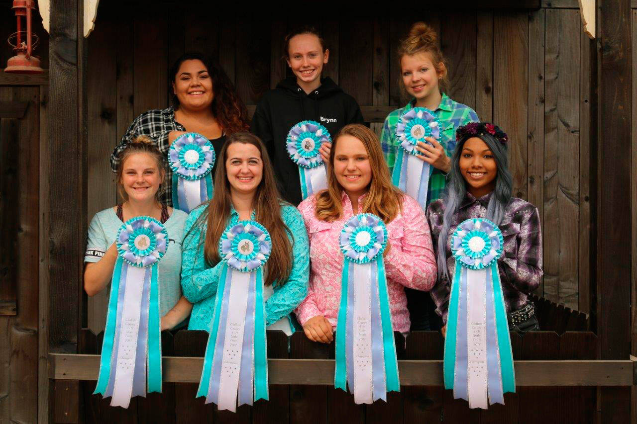 Clallam County Senior 4-H games division riders who competed last month at the Puyallup Fair were, in back from left, Kristine Hanson, Brynn Clark and Cassie Roark; and in front from left, Summer Moroz, Cassidy Hodgin, Madison Ballou and Ebony Billings. (Nancy Hodgin)