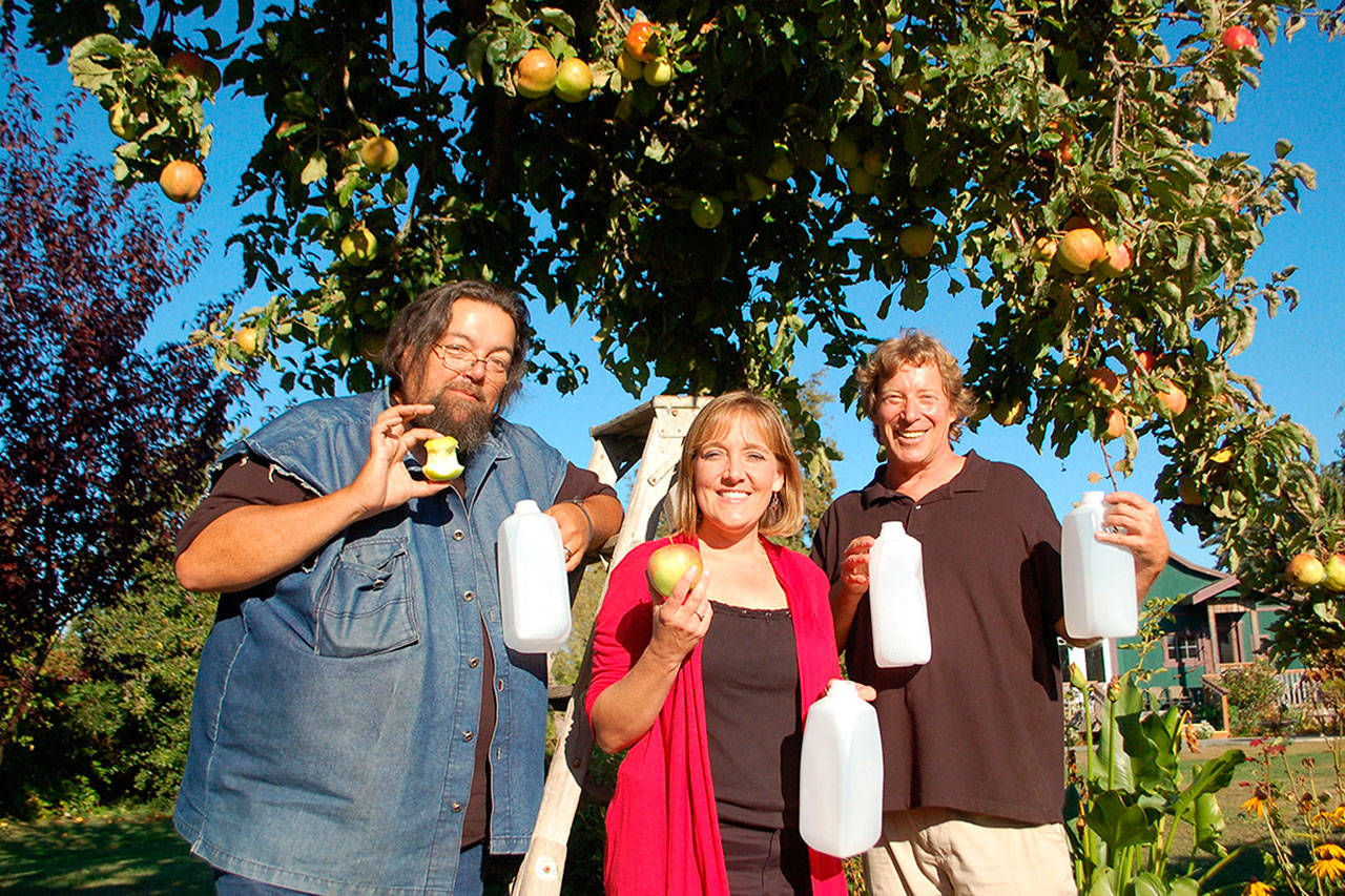 Coordinators of the eighth annual Apple Stock benefit — Jonathan Simonson, Kelly Sanders and Mark Schwartz, from left — prepare to press organic apples into cider Oct. 6-8. The three-day event features music, cider pressing and concessions, with donations going toward local causes. (Erin Hawkins/Olympic Peninsula News Group)