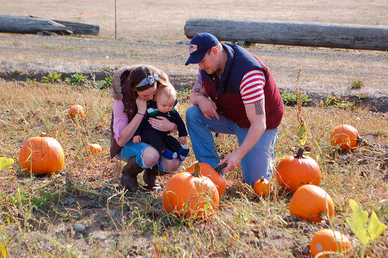 Forks family Danielle Brownell, Zachary Brownell and their 8-month-old son, Grayson, stop at The Pumpkin Patch in Sequim for their first time. (Erin Hawkins/Olympic Peninsula News Group)
