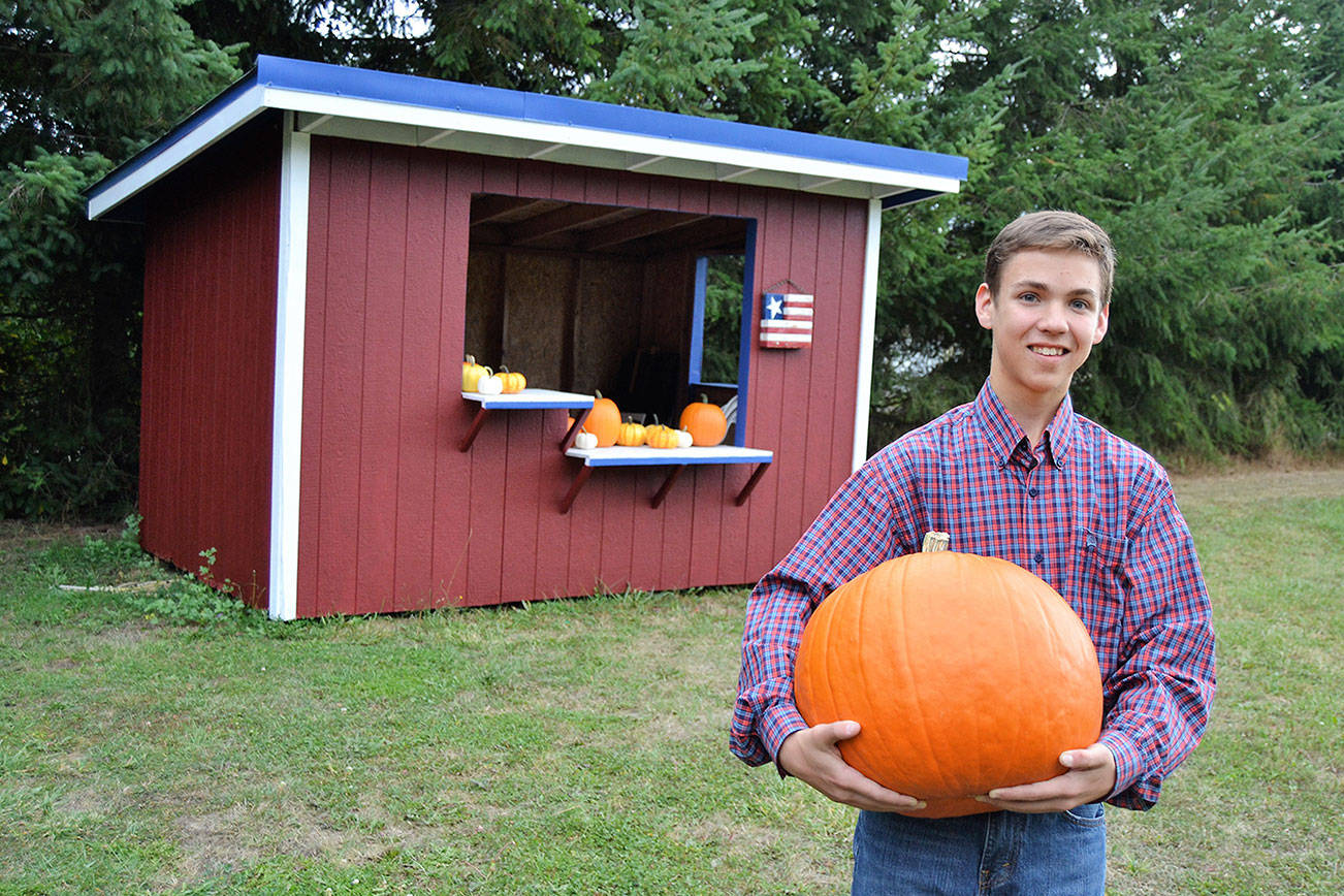 Sequim teen to bring back “Pumpkins for a Cause” on Saturday