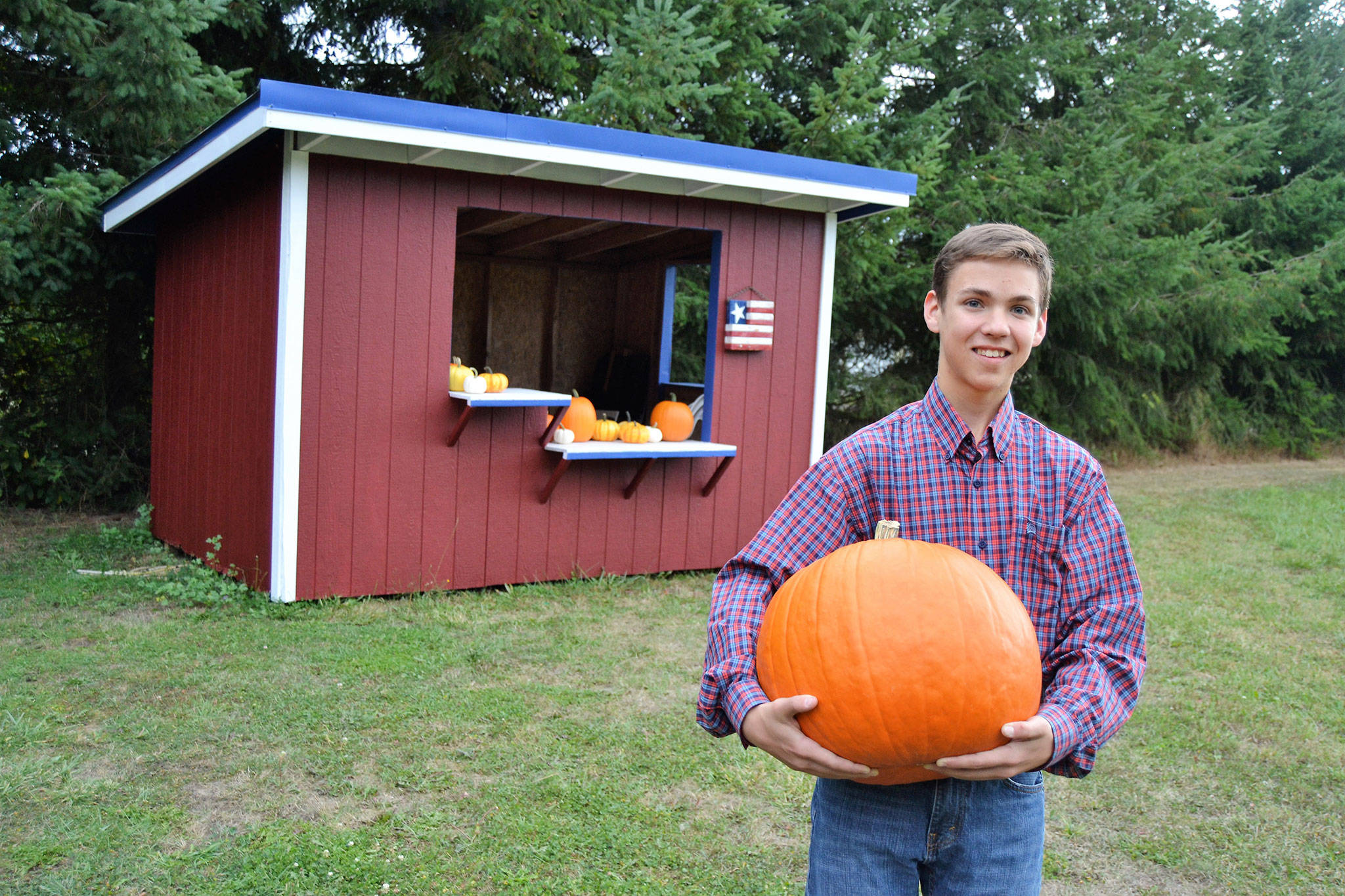 Carson Holt holds a pumpkin outside of the stand he plans to sell pumpkins from Saturday at the intersection of Old Olympic Highway and Knutsen Farm Road. (Matthew Nash/Olympic Peninsula News Group)
