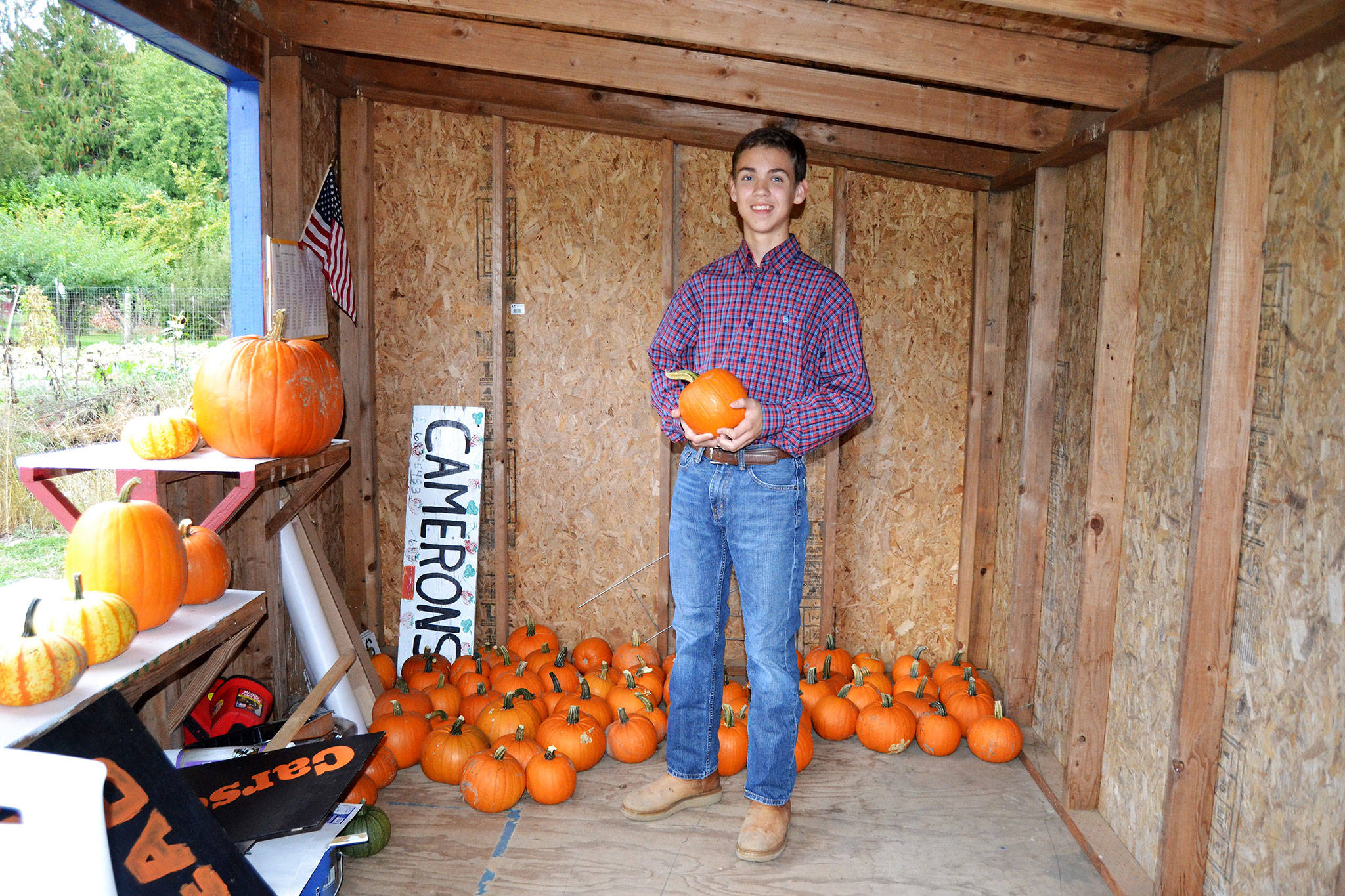 Carson Holt plans to sell pumpkins out of the former Cameron’s Berry Farm stand that was gifted to him. (Matthew Nash/Olympic Peninsula News Group)