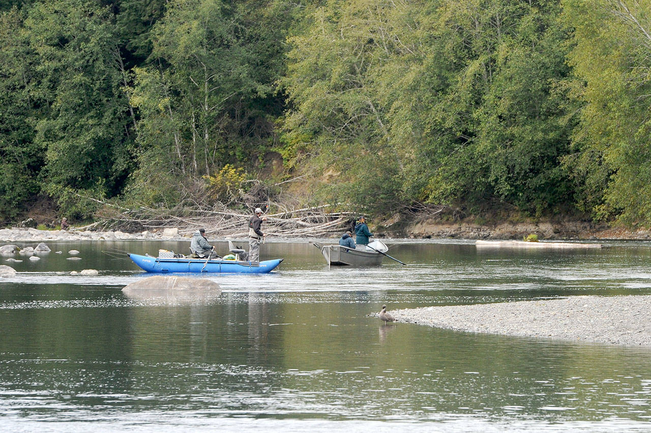 Salmon fishermen try their luck on the Quillayute River at Three Rivers west of Forks on Saturday prior to the closing of fishing Monday due to extremely low flows. (Lonnie Archibald/for Peninsula Daily News)