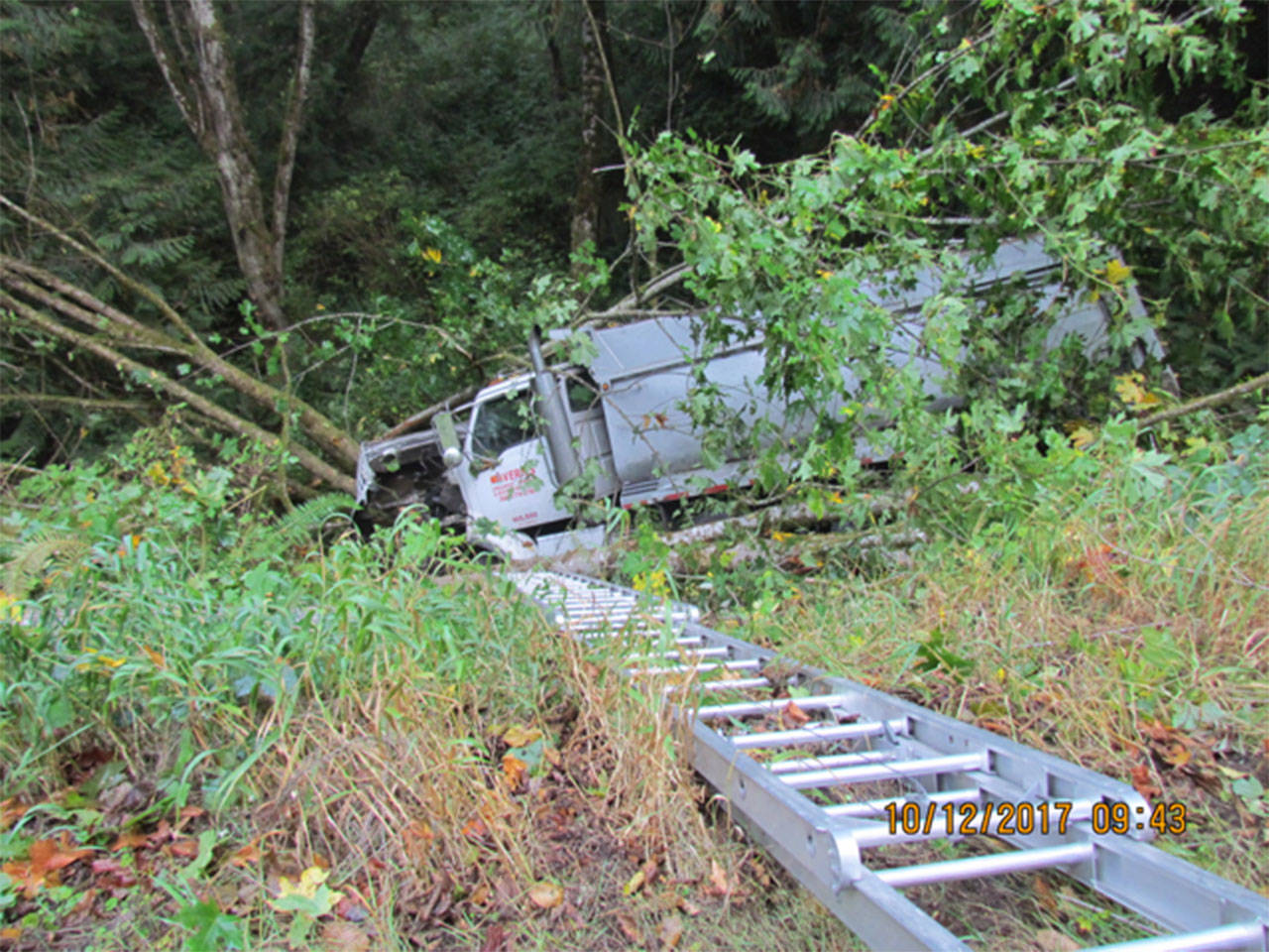 A dump truck rests about 20 feet down an embankment off Oak Bay Road in Port Ludlow on Friday. (Port Ludlow Fire & Rescue)