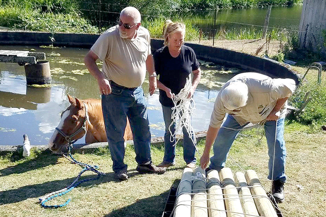 HORSEPLAY: Groups work together to rescue horse