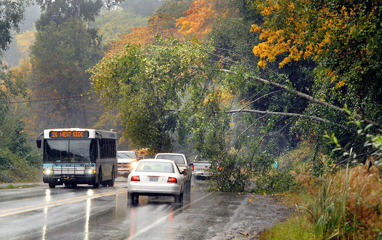 Traffic makes its way around and under a cluster of trees that sagged down over a portion of the Tumwater Truck Route, partially blocking the roadway in Port Angeles, on Wednesday. (Keith Thorpe/Peninsula Daily News)