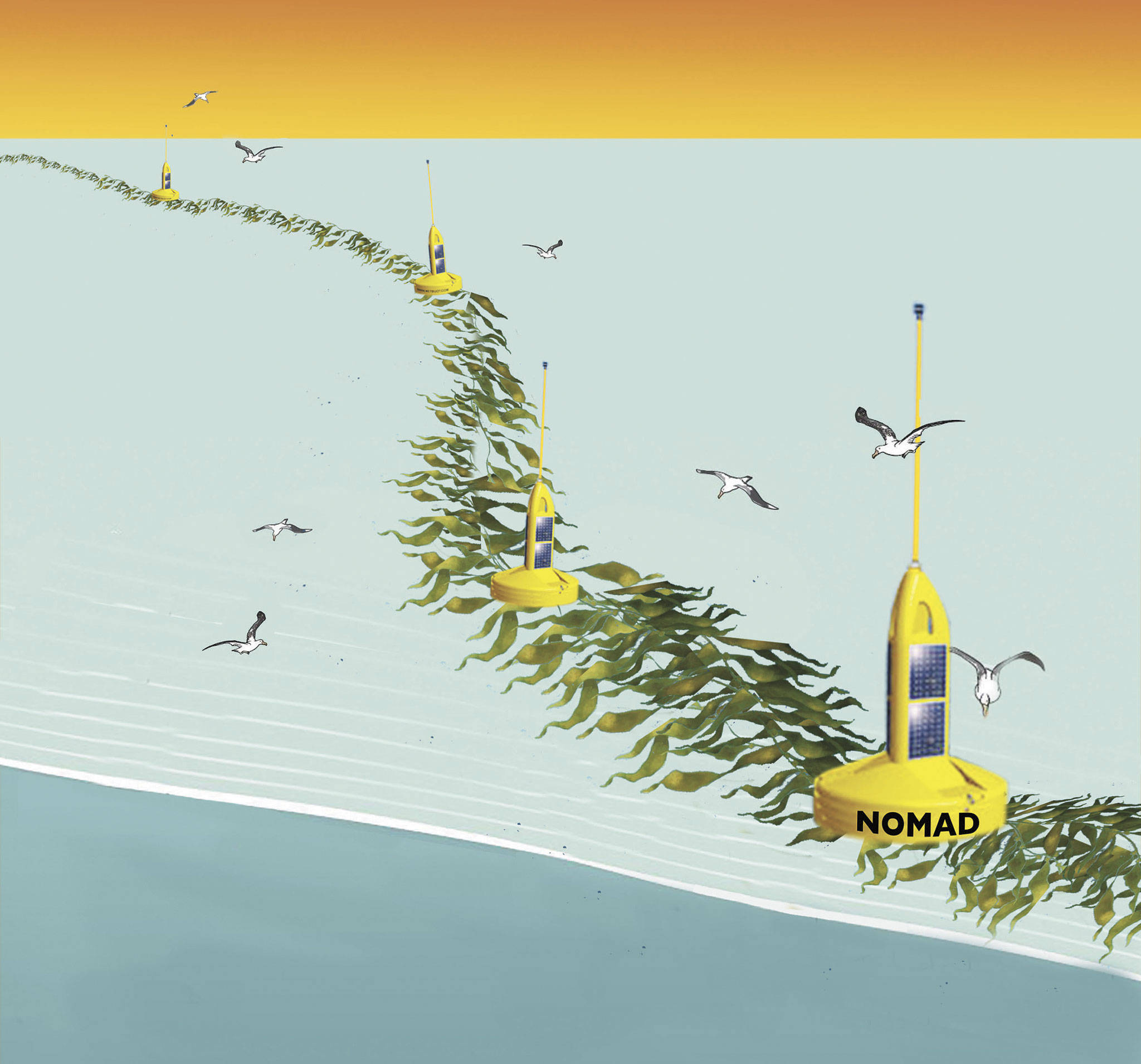 Reliance Laboratories                                Scientists and researchers on the Olympic Peninsula are developing a project called NOMAD, or Nautical Offshore Macroalgal Autonomous Device, which floats along the Pacific Ocean to grow seaweed for use later as biofuel.