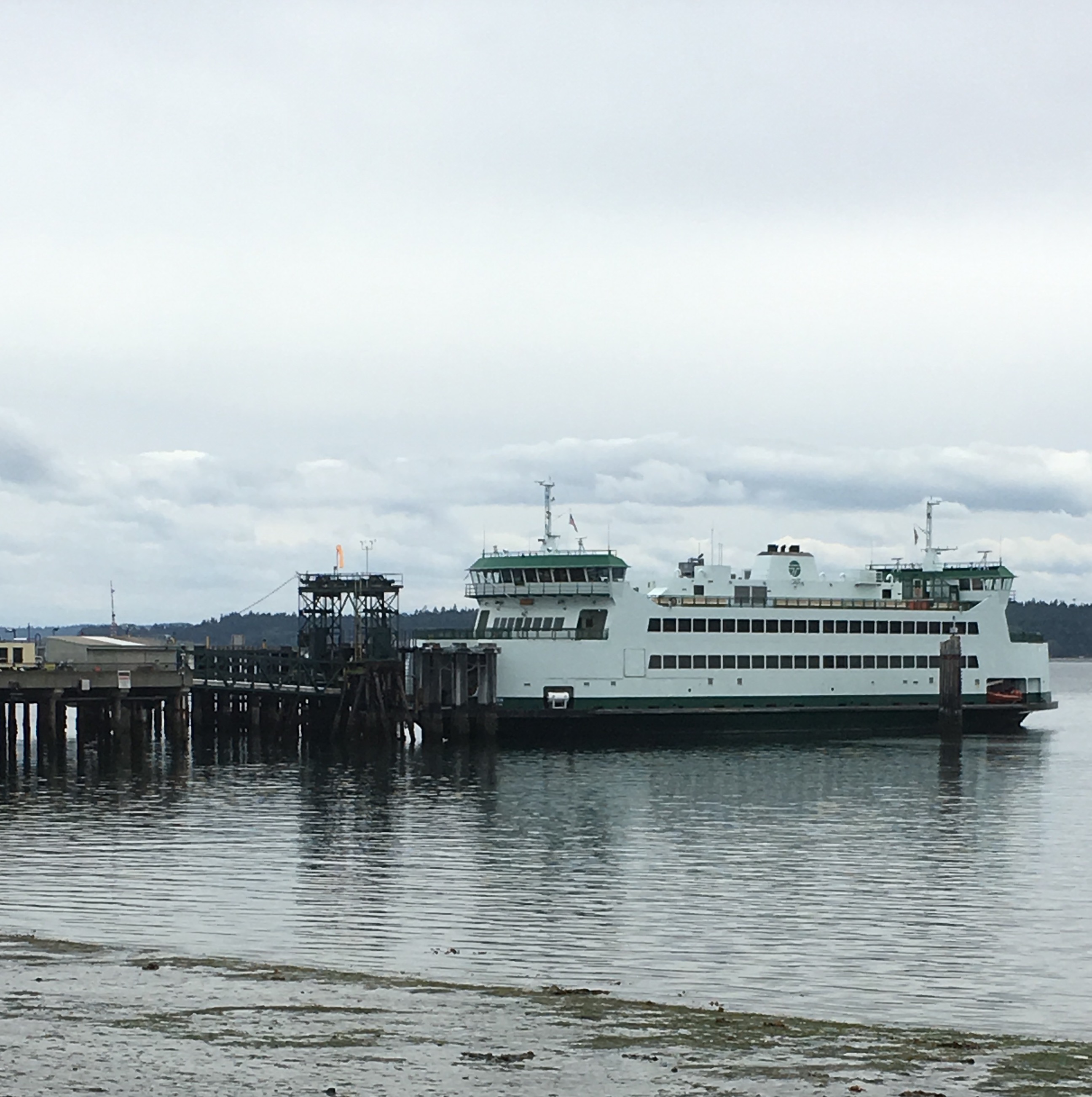 The M/V Salish was out of service this morning. ()