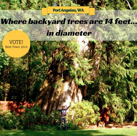 One of the online posters promoting votes for Port Angeles. (Revitalize Port Angeles)