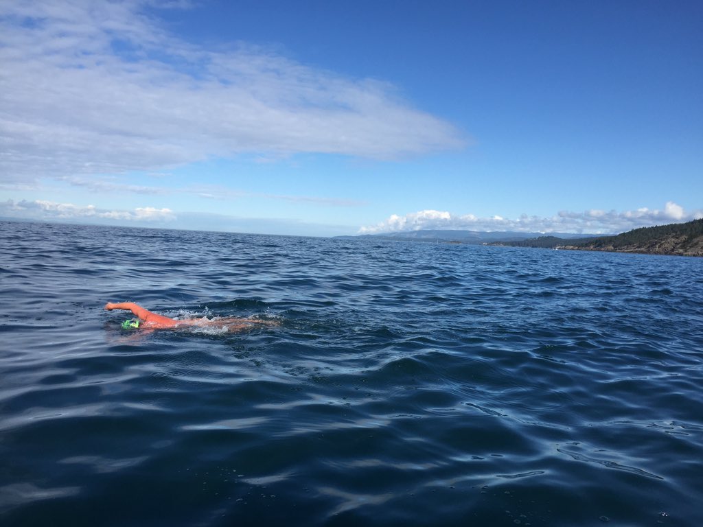 Swimmer Steve Walker heads south toward the Olympic Peninsula and the U.S. this morning. (Andrew Malinak)