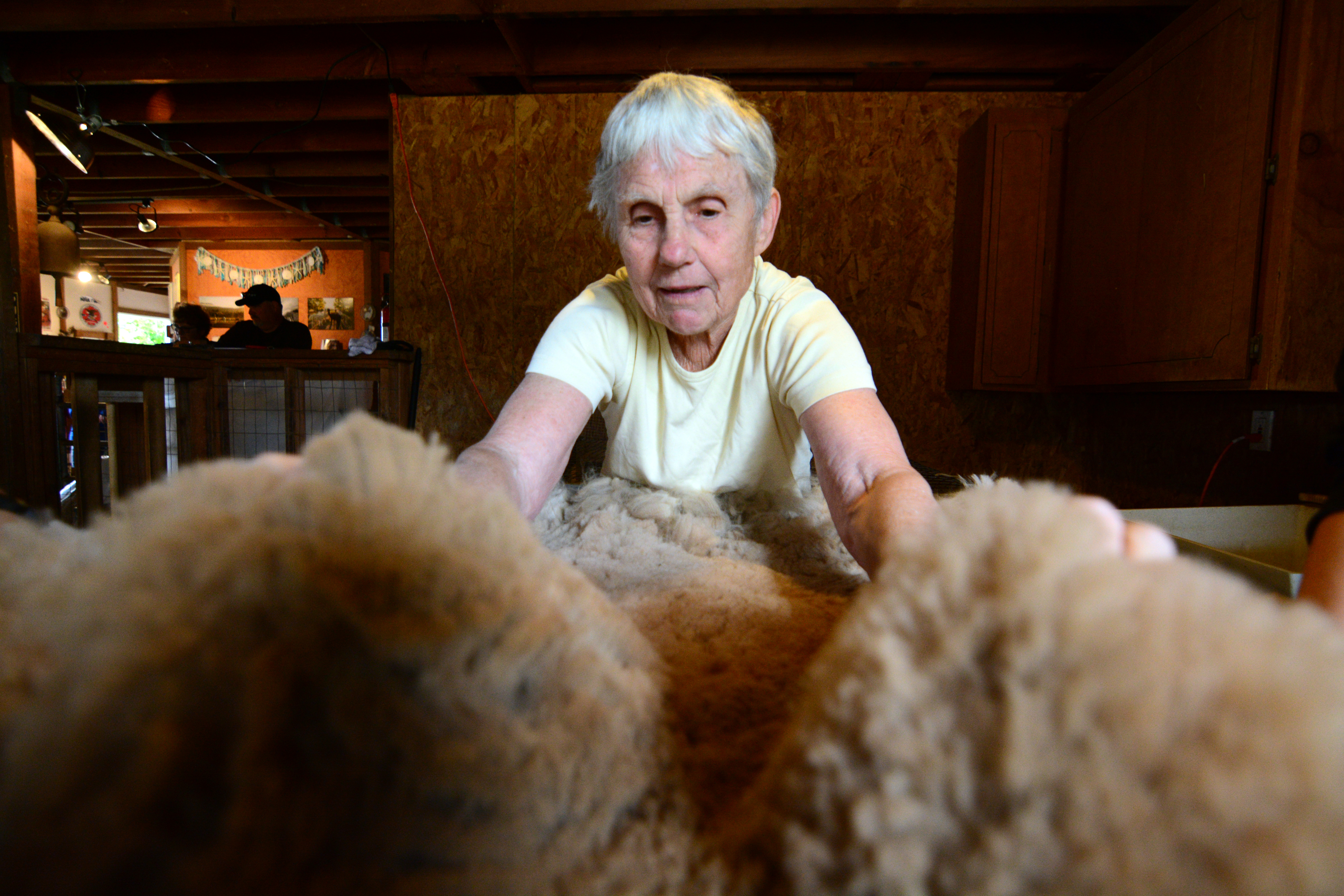 Anne Olson of Seattle fluffs alpaca fleece before pulling dirt and hay from it at Dyefeltorspin at Happy Valley Alpaca Ranch on Sunday near Sequim. (Jesse Major/Peninsula Daily News)