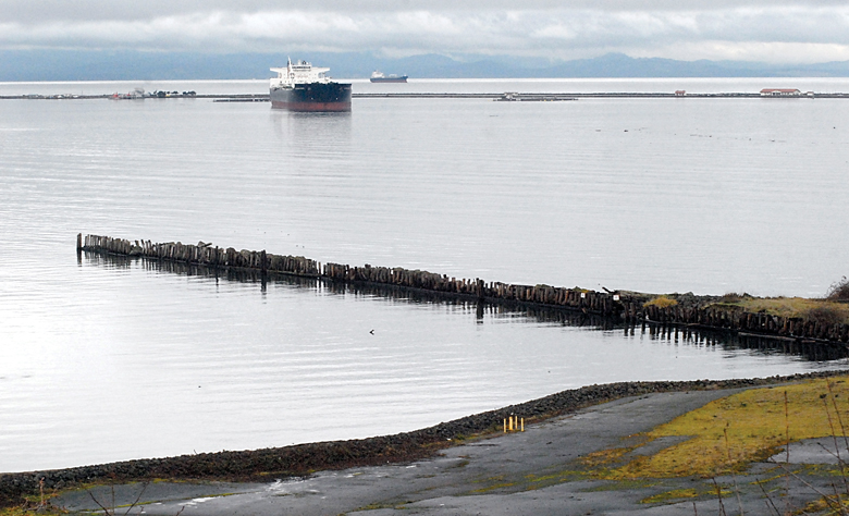 A view of Port Angeles Harbor on Tuesday.  Keith Thorpe/Peninsula Daily News ()