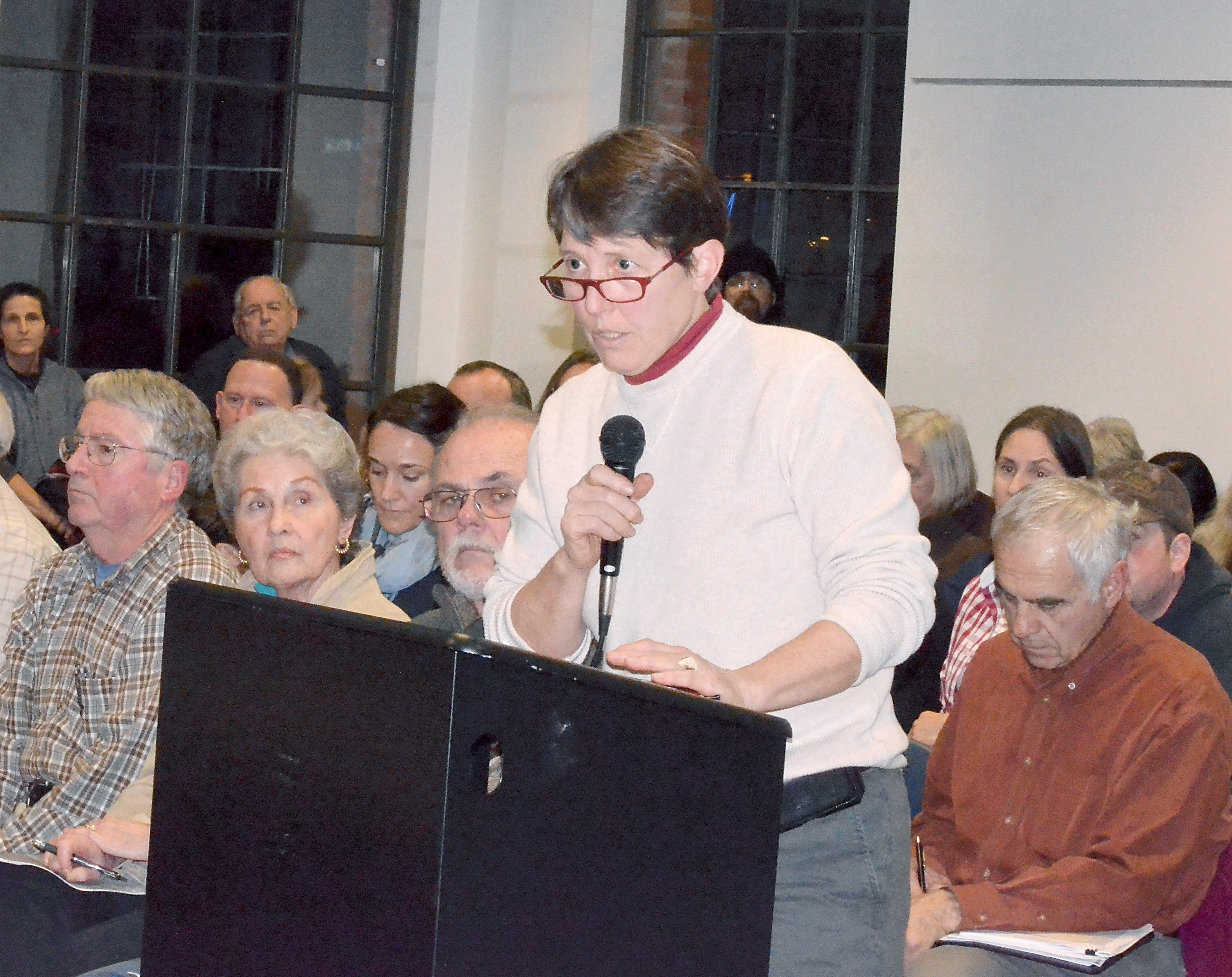 Karen Page comments Monday about the extension of Jefferson Countys moratorium against marijuana businesses.  Charlie Bermant/Peninsula Daily News ()