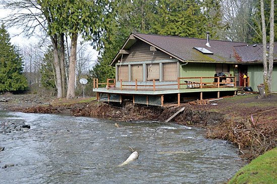 The Dungeness River continues to threaten two homes on the Dungeness River on Serenity Lane