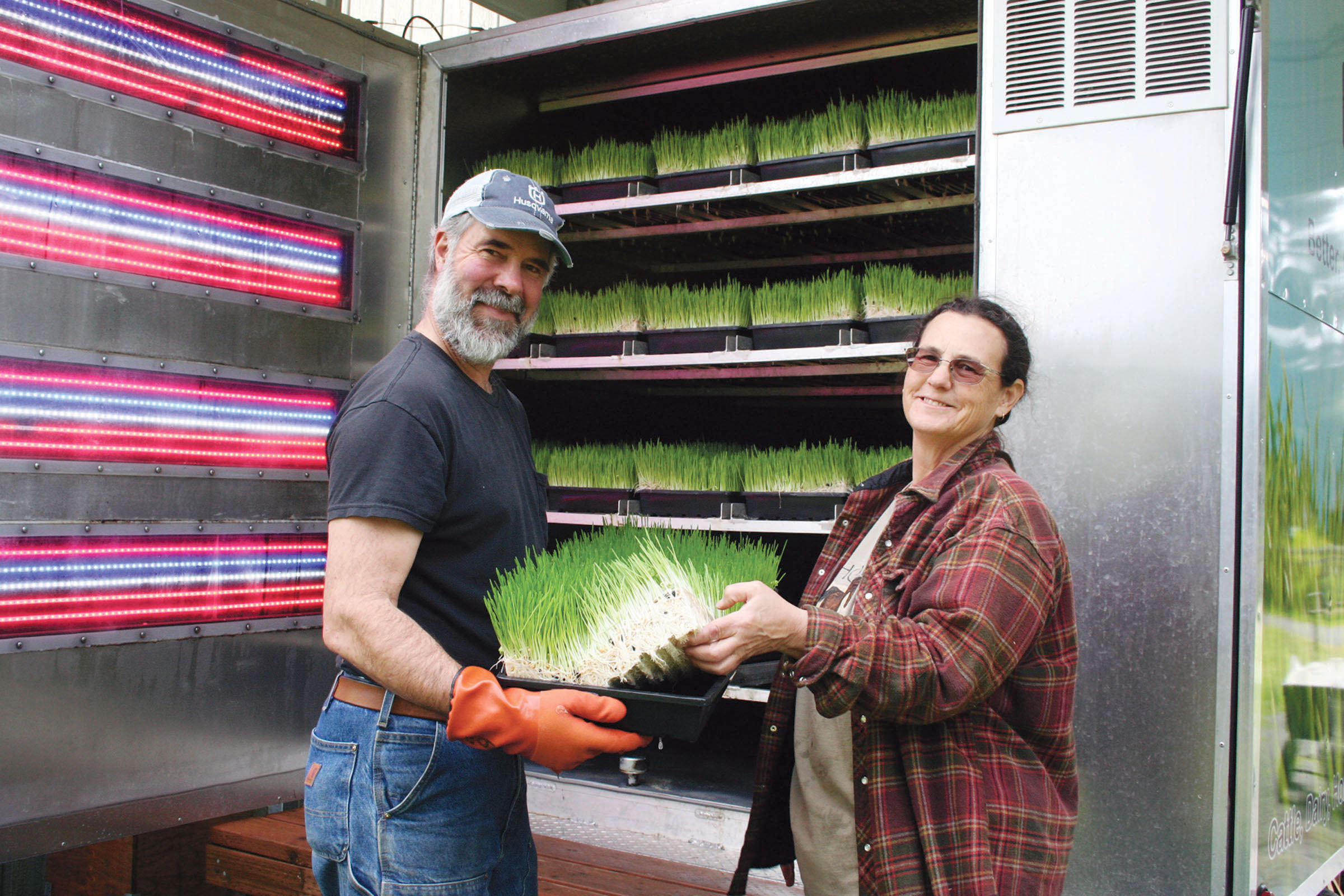 Port Angeles ranch owners Dave and Beck Seibel show the matured barley and sunflower seed fodder grown in just seven days inside their hydroponic system’s climate-controlled trailer.  —Photo by Karen Griffiths/for Peninsula Daily News ()