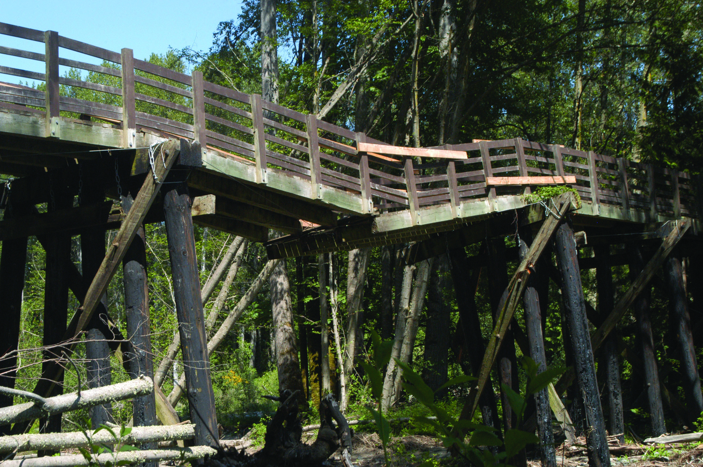 The Jamestown S'Klallam tribe is moving forward with plans to repair Railroad Bridge over the Dungeness River. (Chris McDaniel/Peninsula Daily News)