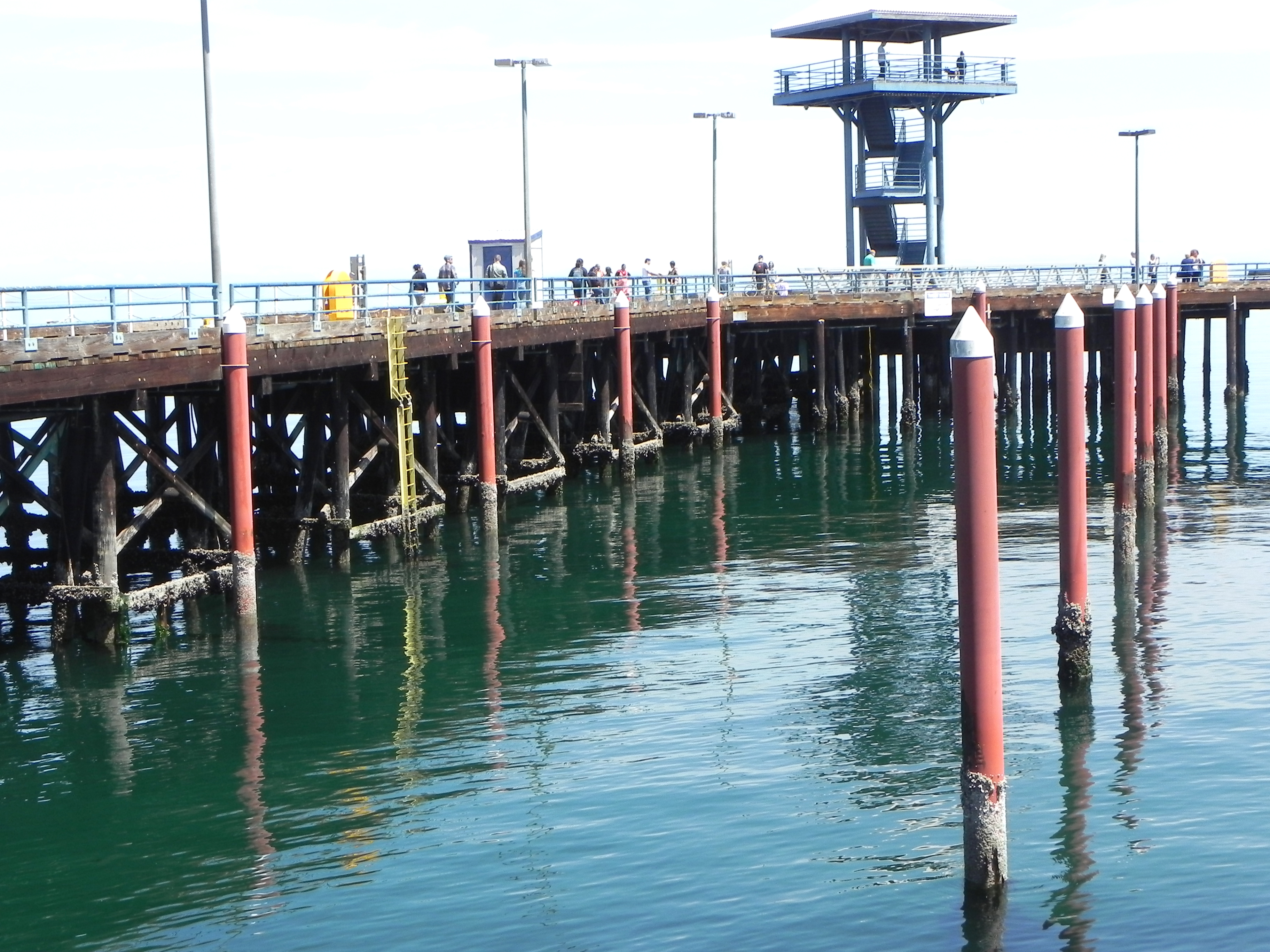 WEEKEND REWIND Assessment to delay installation of Port Angeles City Pier mooring floats