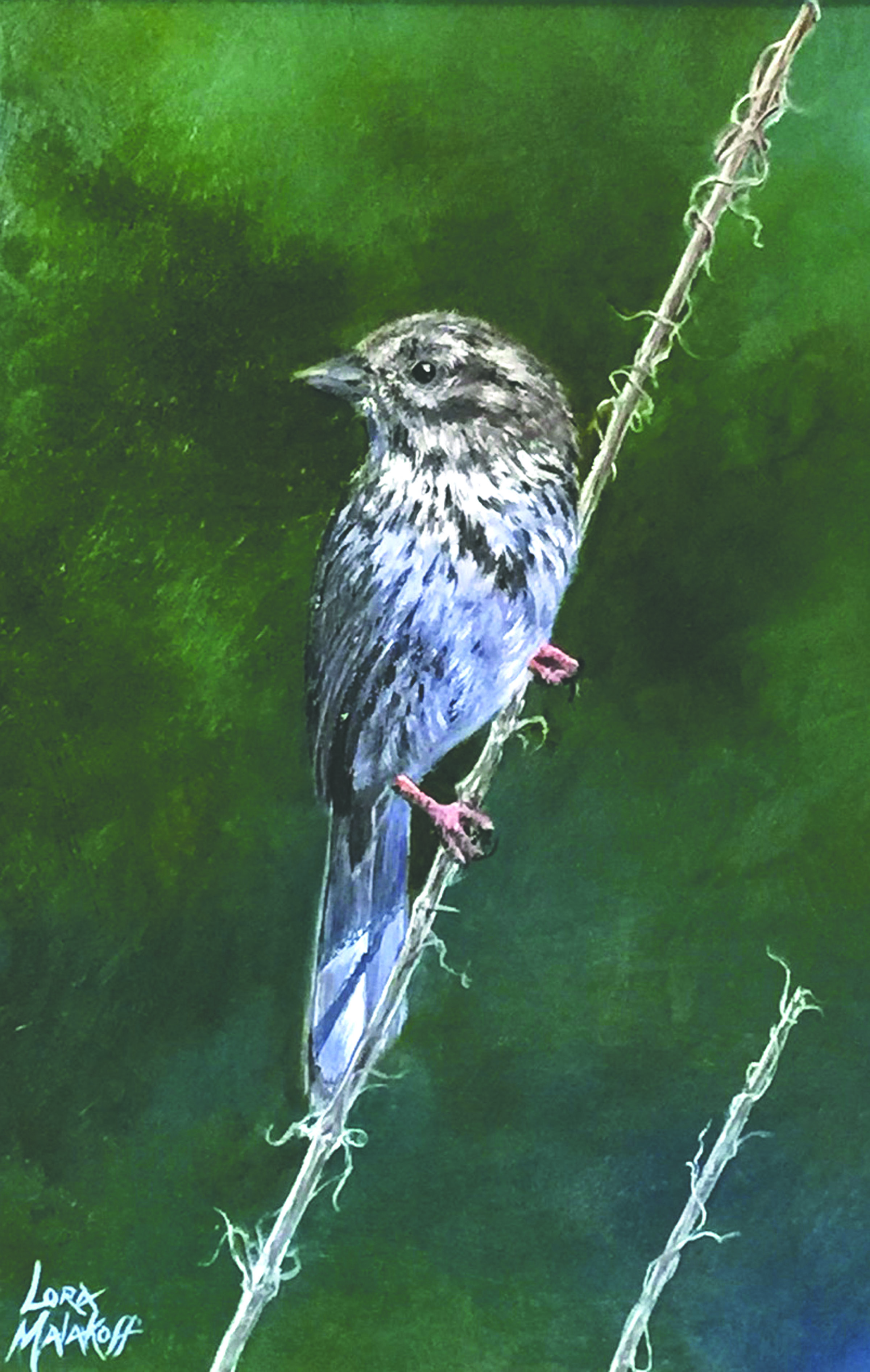 Art by Lora Malakoff