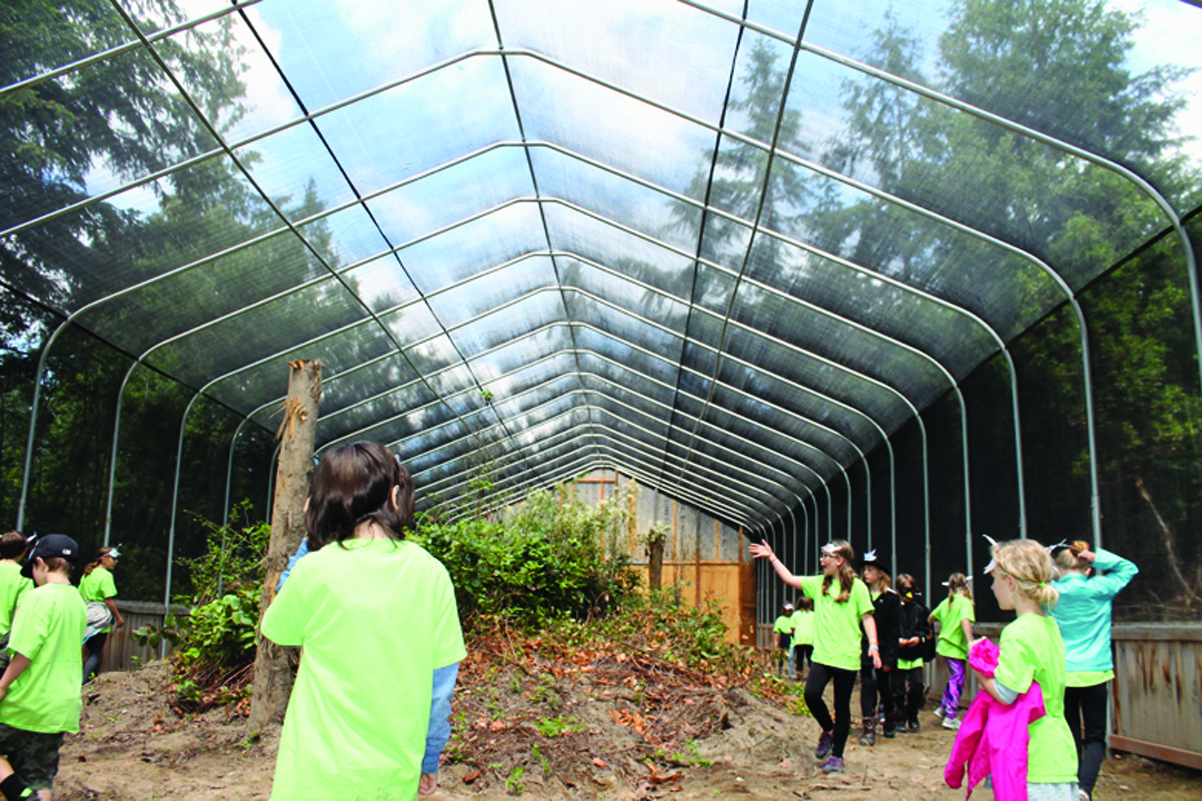 More than 40 students from Grant Street Elementary who helped raise funds for the relocation of the 100-foot flight pen visited the Discovery Bay Wild Bird Rescue on June 10. (Alana Linderoth/Olympic Peninsula News Group)