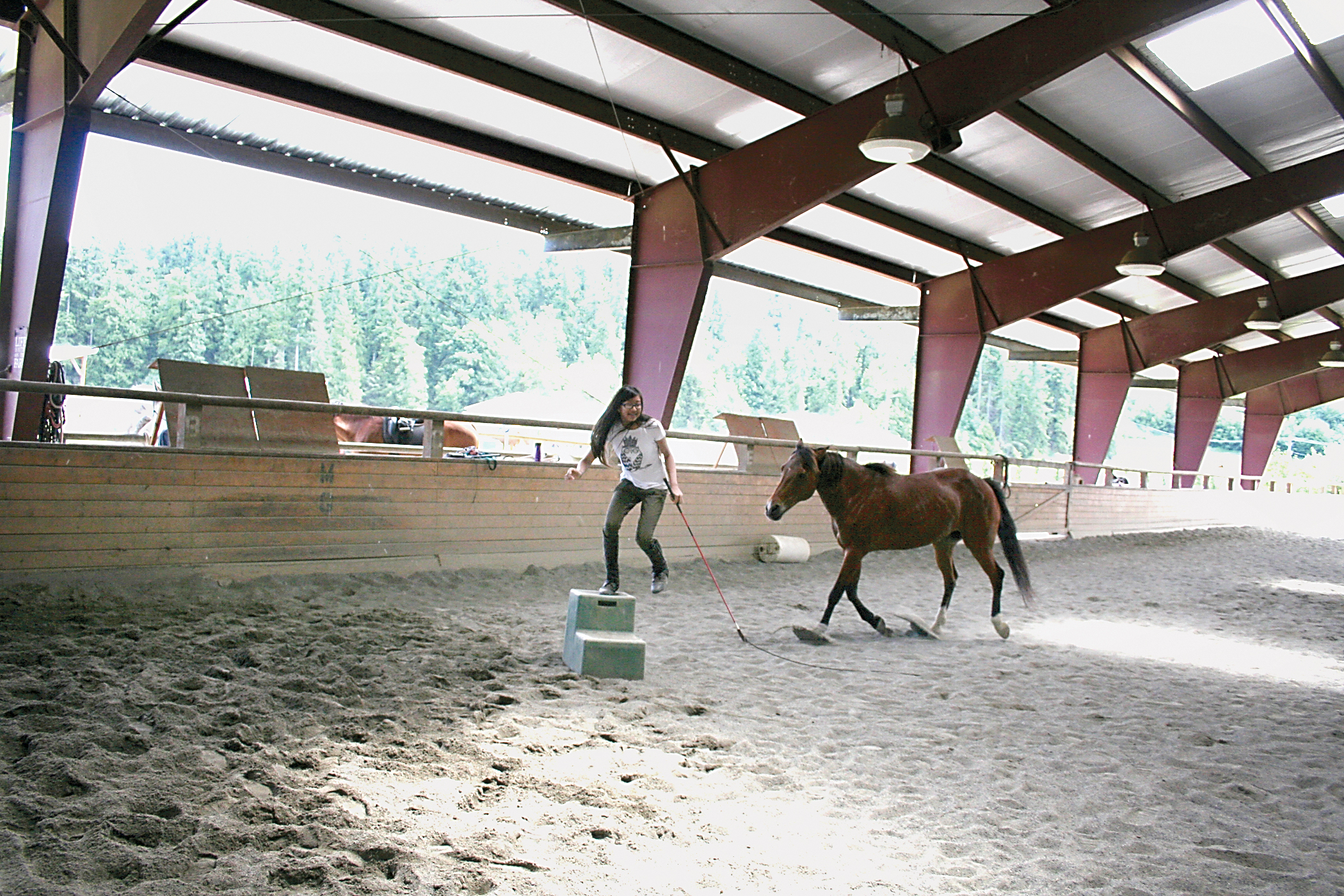 Lesson horse Louie balked at approaching the mounting block until Freedom Farm’s Hoof Beats member Jamine Itti decided to help him get over his resistance through patience and fun training games. Two years later he’s happy to go there — or where ever else Jasmine calls him — sans tack.  —Photo by Karen Griffiths/for Peninsula Daily News ()