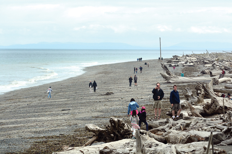 The Dungeness Spit is one of several sites featured in the Destination Wild Olympics campaign