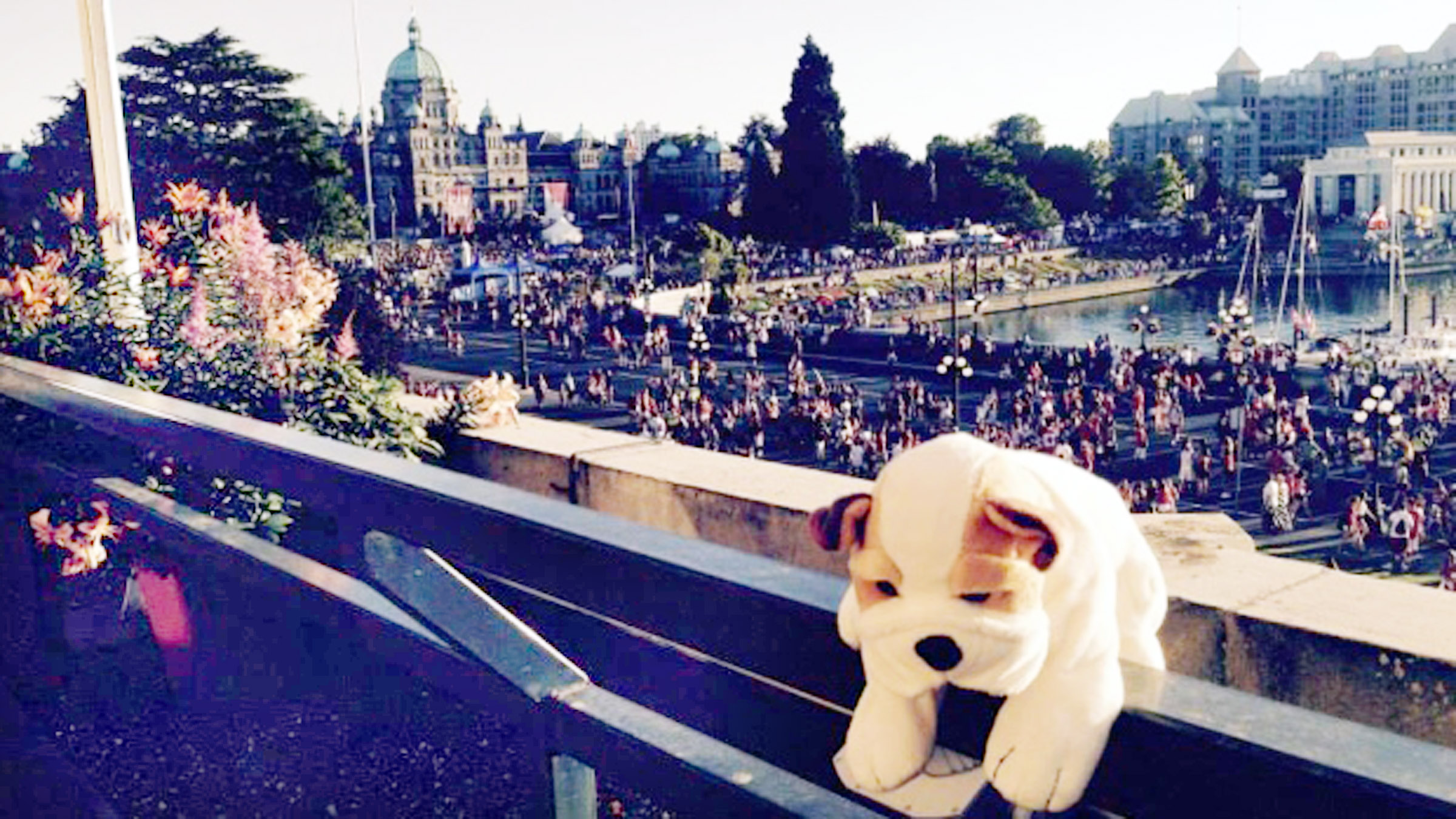 Boris the stuffed dog is posed on a balcony of Victoria’s Fairmont Empress Hotel