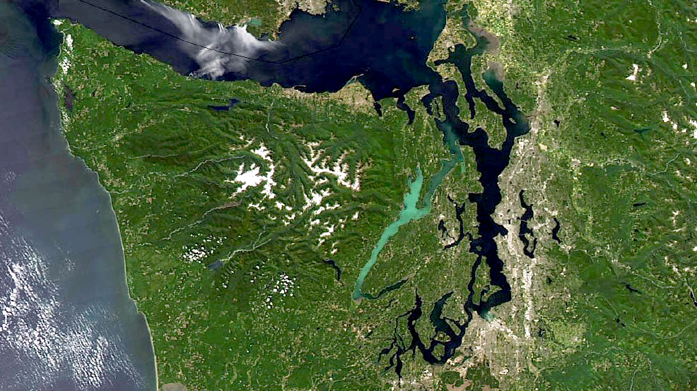 Hood Canal phytoplankton bloom can be seen from space Peninsula Daily