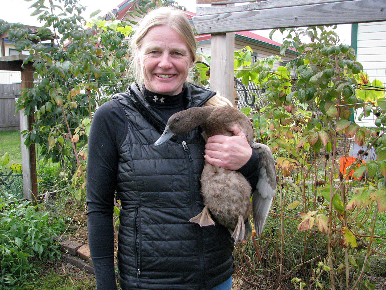 Selinda Barkhuis will host a talk on gardening with ducks Thursday afternoon in Port Angeles. (Washington State University Clallam County Extension)