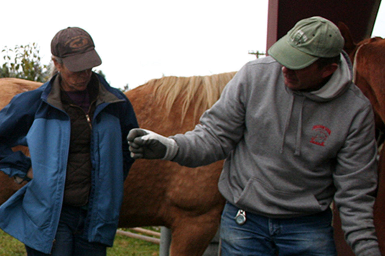PENINSULA HORSEPLAY: Learning to trim hoofs is essential skill