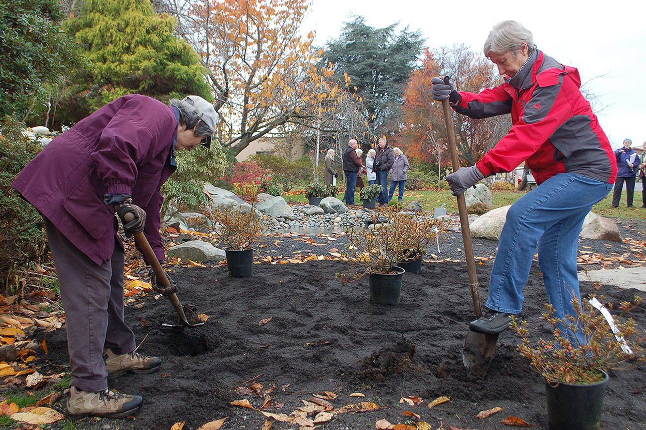 Landscaping started at Pioneer Memorial Park as part of restoration project