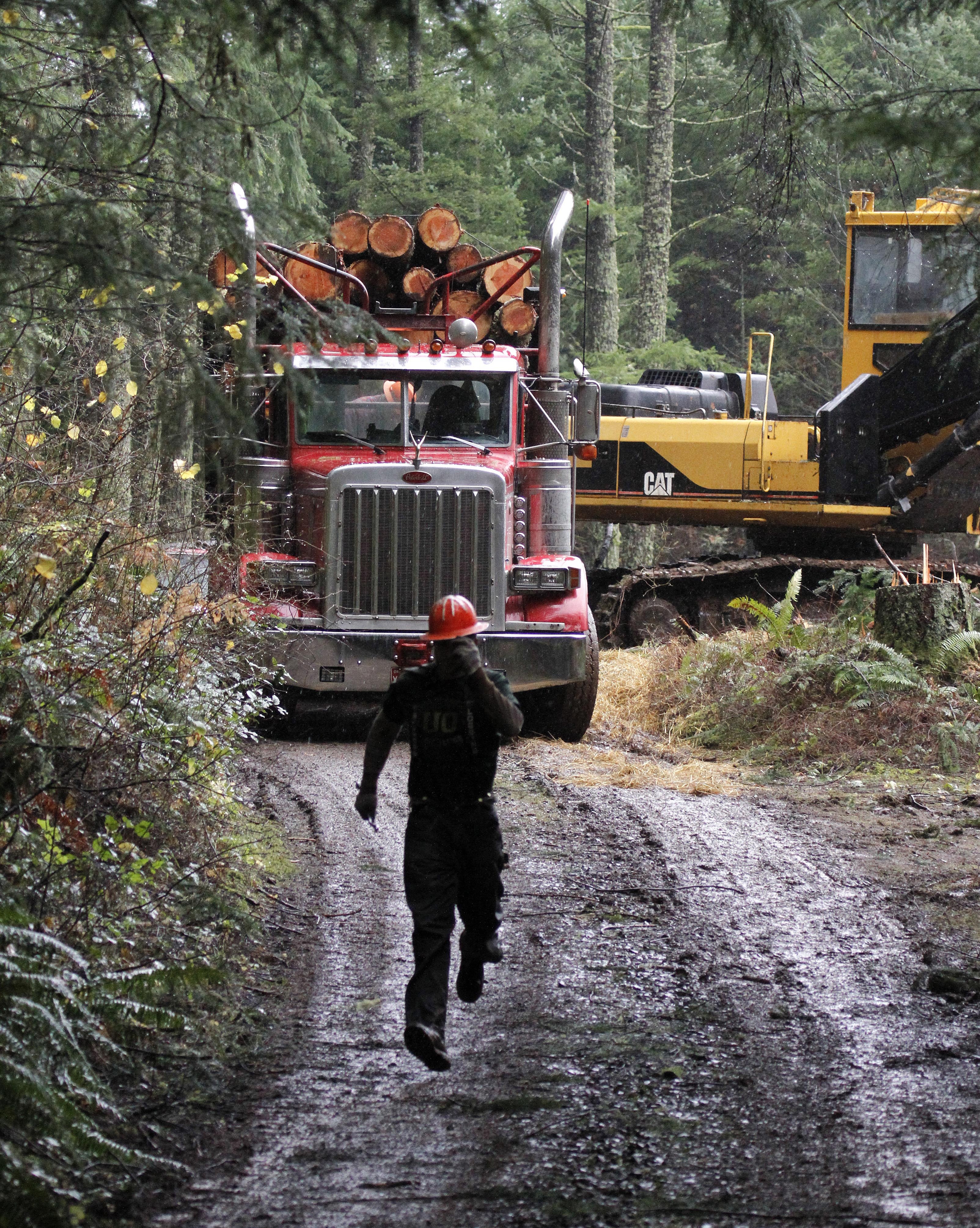 Group to keep pressing EPA on logging roads Peninsula Daily News