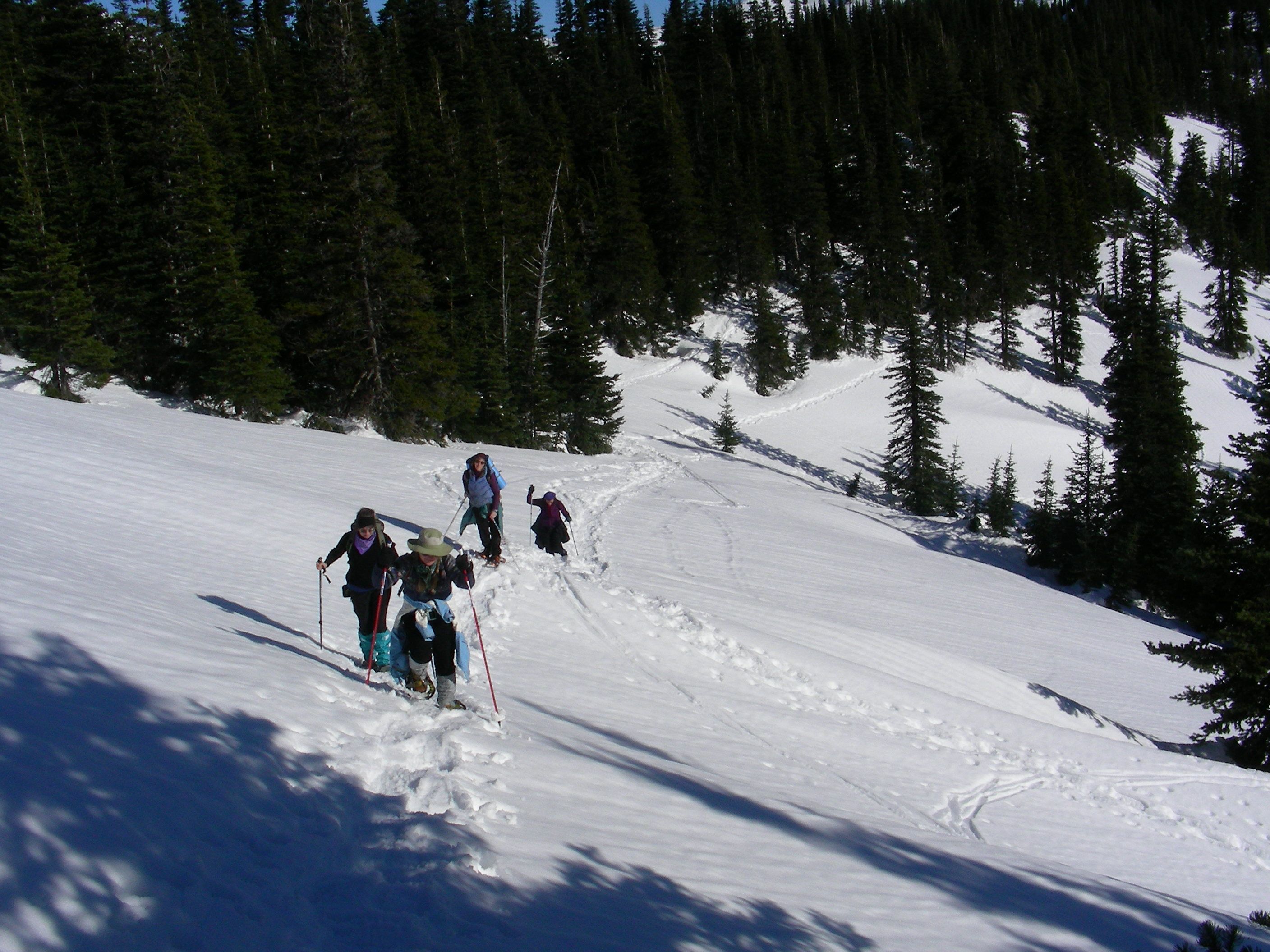 Snowshoeing at Hurricane Ridge — top to bottom