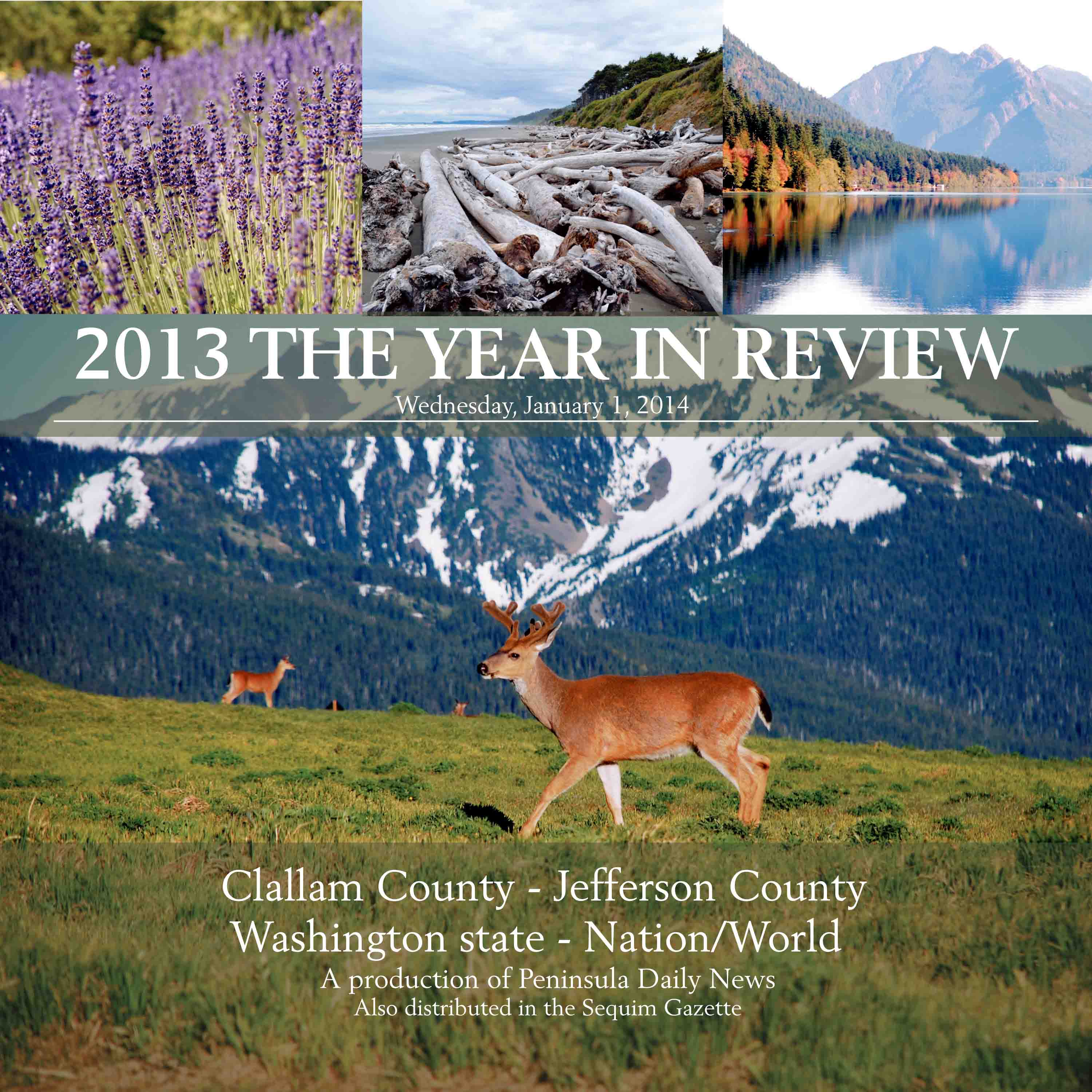 What are the top stories of 2013? Our annual Year in Review section appears today