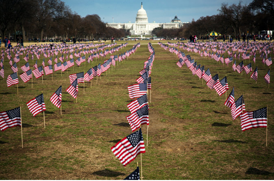 Flags on the National Mall represented the hundreds of veterans who have committed suicide this year. Stephen Crowley/The New York Times