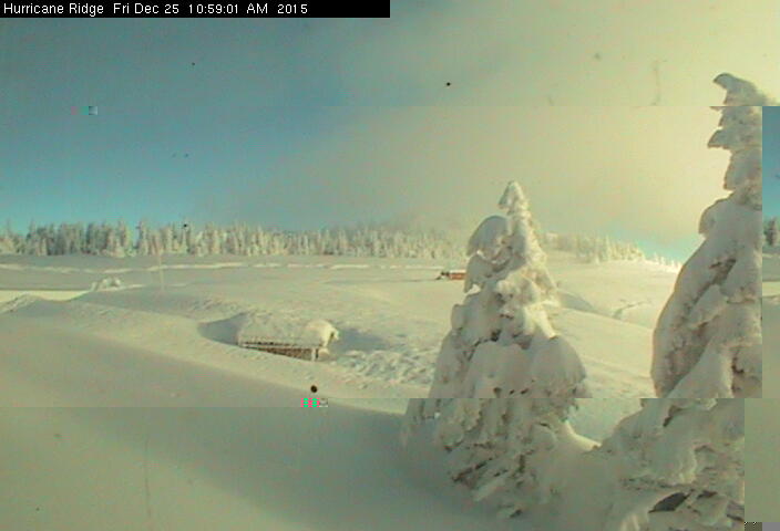 Snow covers the parking lot at Hurricane Ridge in this web cam shot at about 11 a.m. today.