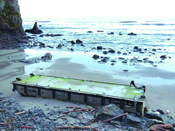 This 64-foot section of dock washed up at an Olympic National Park beach in December. National Park Service