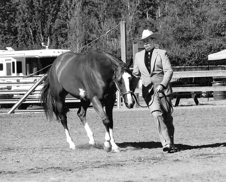 Washington State Horsemen competitors Kyle Ellis and Eyed B Stylin' (Vegas) show the showmanship moves that helped them win the WSH Horse Show Division's Top 5 of 2013 award for horse/rider combination.