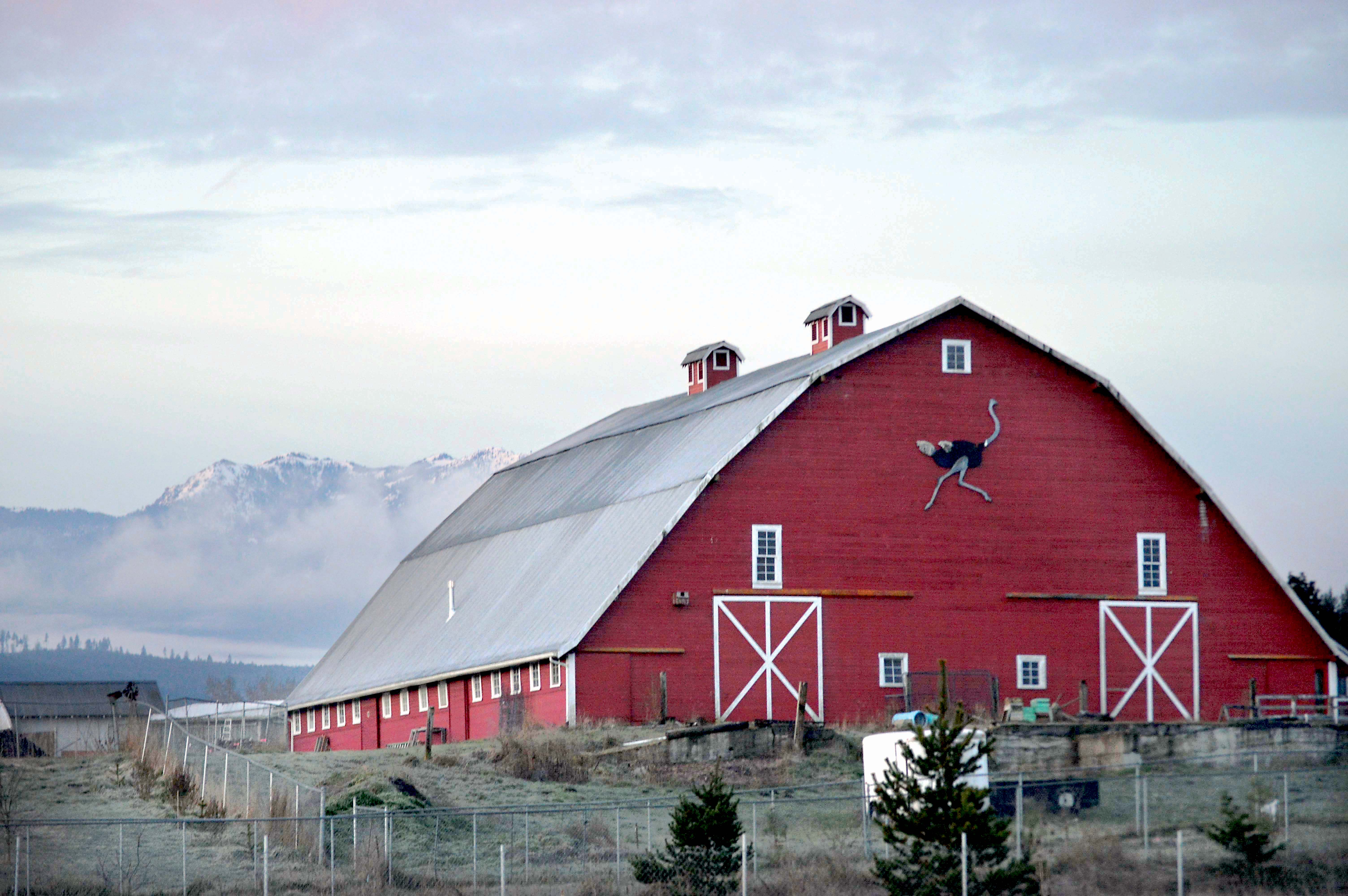 Photo of the Big Barn at 702 Kitchen-Dick Road west of Sequim by Diane Urbani de la Paz/Peninsula Daily News