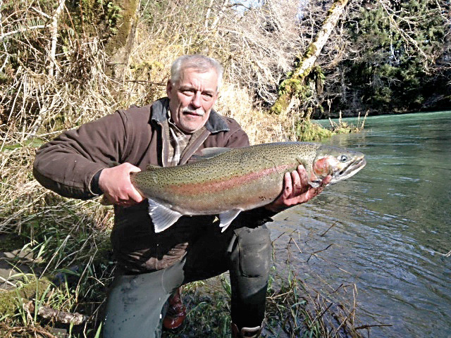 Keith Johnson of Yakima caught this 16-pound steelhead on the Sol Duc River last week.