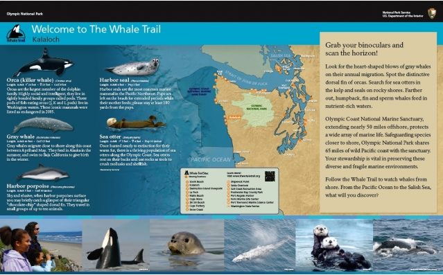 Whale Trail sign at Kalaloch Lodge.