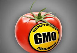 Vermont will require labeling of genetically altered foods