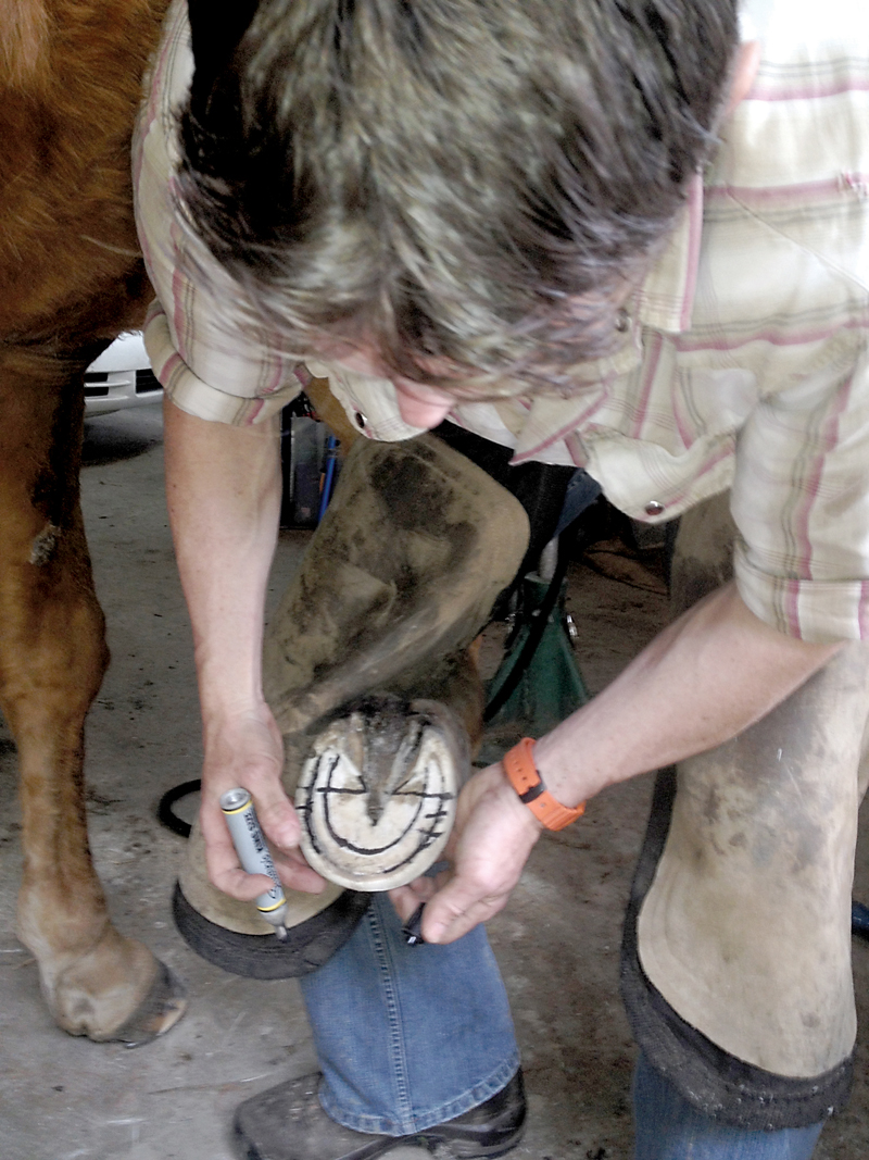 Farrier Brad Erickson draws a grid on a healthy horse's hoof to outline the placement of the external hoof anatomy — frog