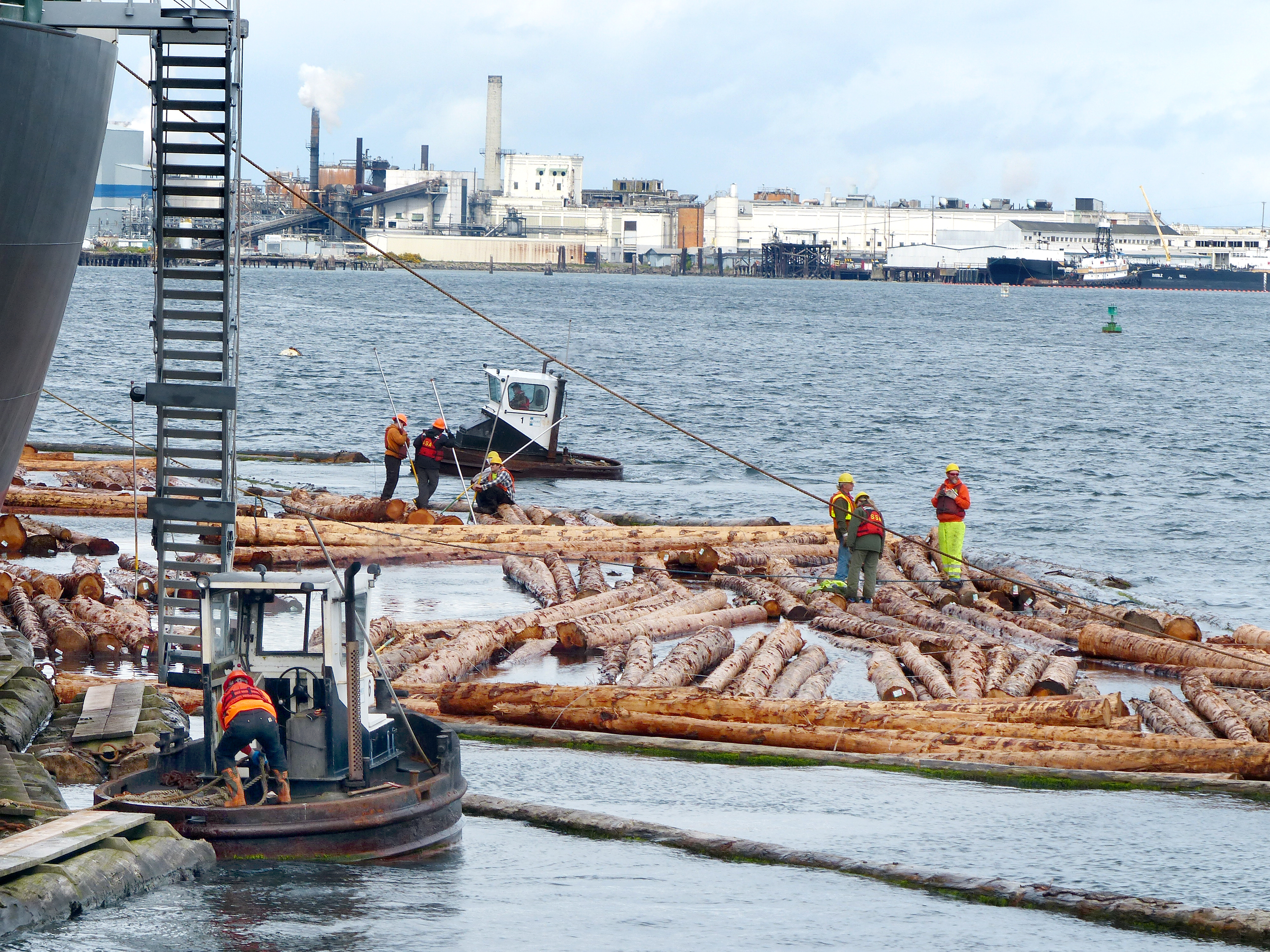 Log loading from the water side of the Bunun Ace was the only action allowed — none from shore side — during the 12-hour visit of the nearby cruise ship Oosterdam on Friday.  —Photo by David G. Sellars/for Peninsula Daily News