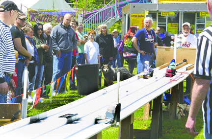 Spectators at the 2011 Brinnon ShrimpFest watch modified belt sanders fly down a custom track. After a year's hiatus