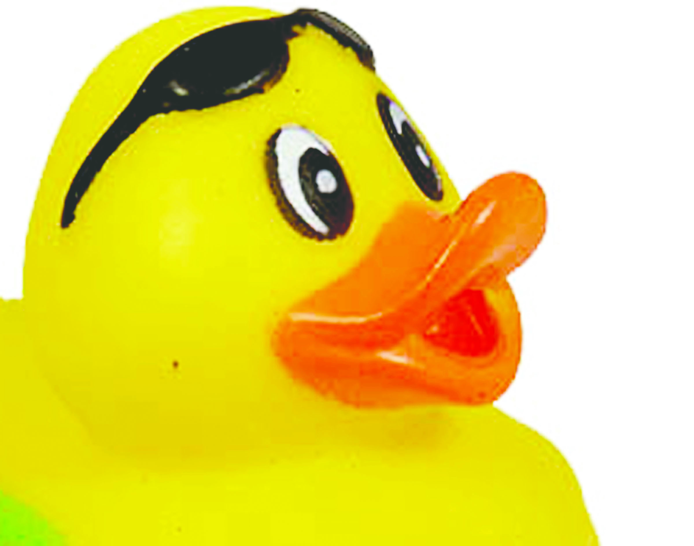 Duck Derby takes float today (Sunday) in Port Angeles