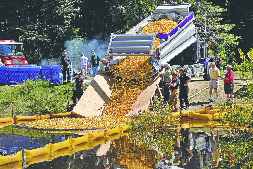 Thousands of plastic ducks tumble out of a dump truck and into the Lincoln Park pond during the 23rd annual Duck Derby in Port Angeles last year. Jerry Hendricks