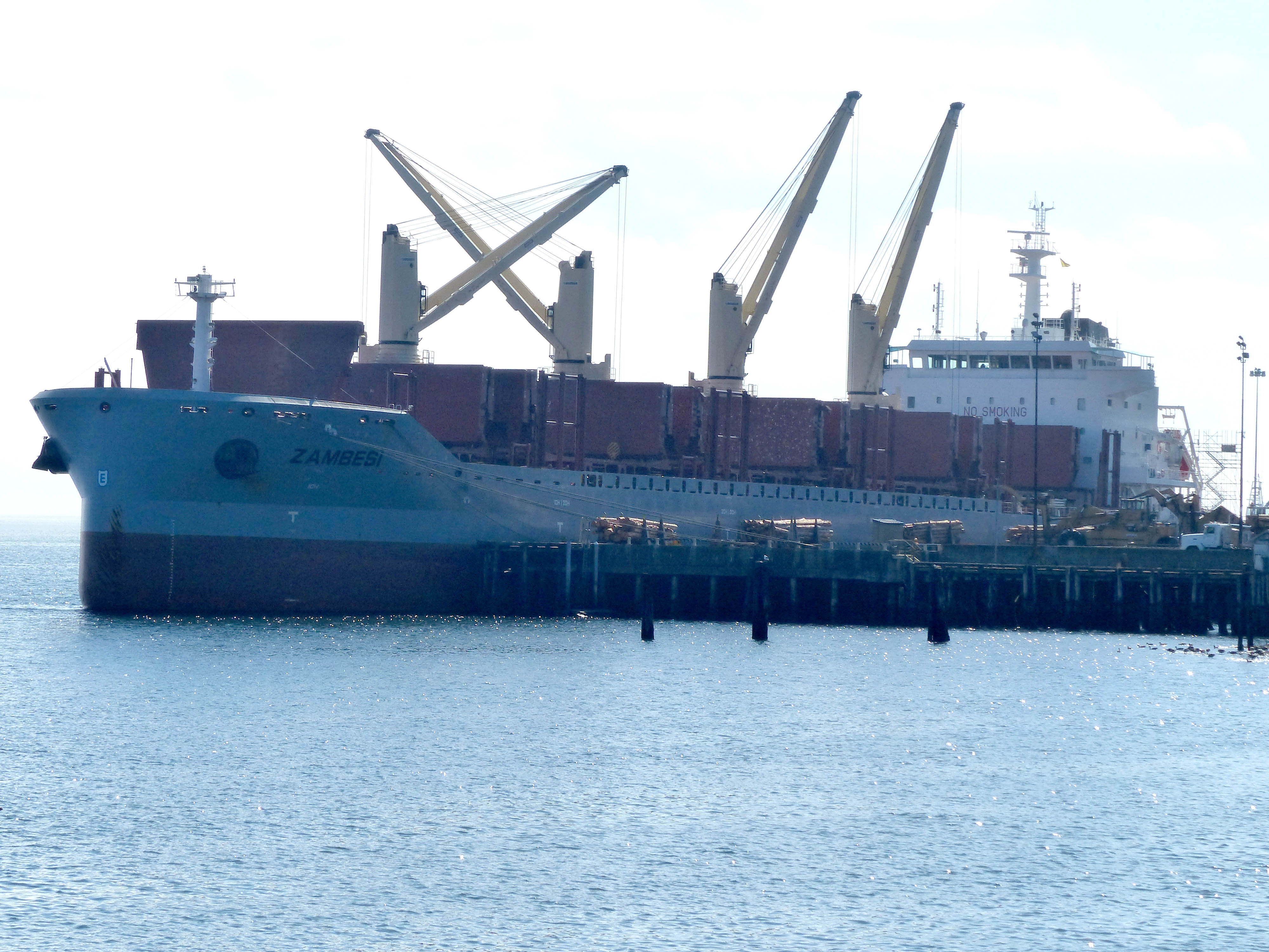 The 587-foot cargo ship Zambesi