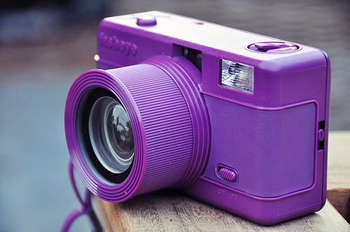 Enter our Lavender Photo Contest (you don't need a purple camera!)